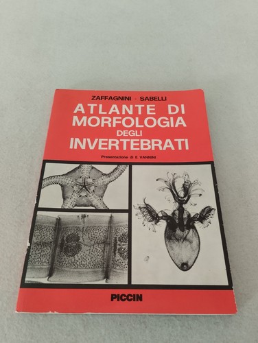 Atlante morfologia degli - di,