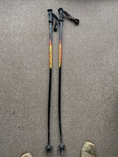 Bastoncini da sci Scott serie 2 retrò