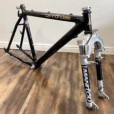 Forcella Vintage Cannondale