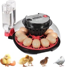 Incubatrice 12 uova con