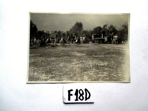 Servizio fotografico - servizio,