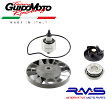 REVISIONE POMPA ACQUA SCOOTER