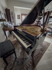Yamaha conservatory in - yamaha,