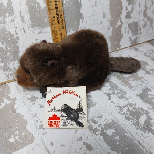 Peluche castoro casa - castoro, degli