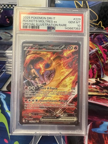 Rocket moltres 229 dri - rocket’s,