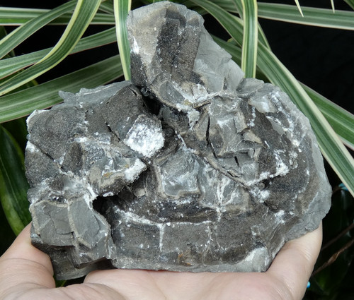 Quartz diamant en - quartz, “diamant”