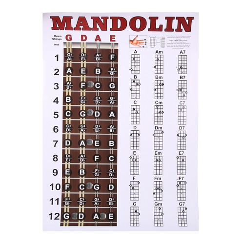Tabella poster mandolino - 2x(tabella,