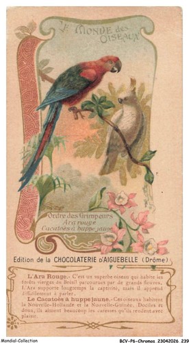 Bcvp6 0520 chromos - -, chocolat