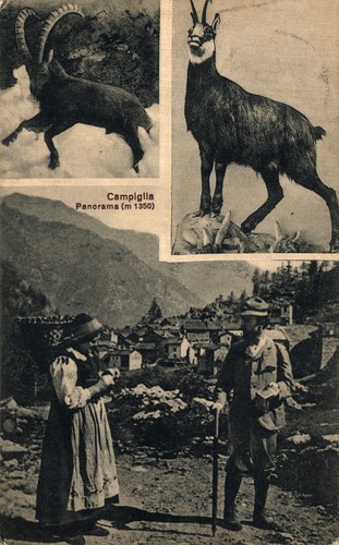 Campiglia valprato soana - campiglia,