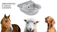 Abbeveratoio cavalli cani