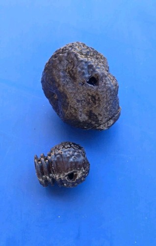 Nuovo tartufo finto per - -,