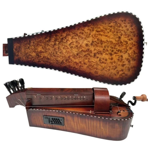 Electric hurdy gurdy - electric, gurdy,6