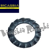 18321 - RONDELLA DENTELLATA