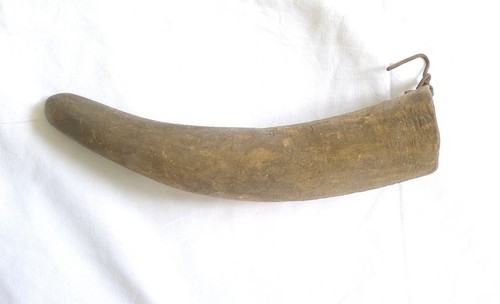 Antico corno mucca bue - corno,