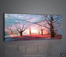 Snowy Landscape Swingscape