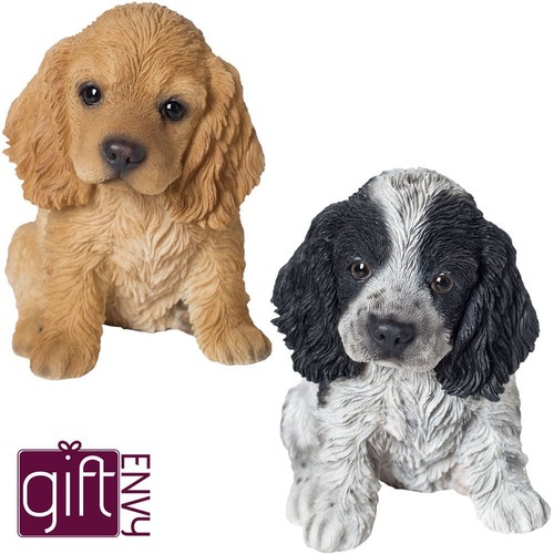 Cane cucciolo cocker spaniel - cucciolo,