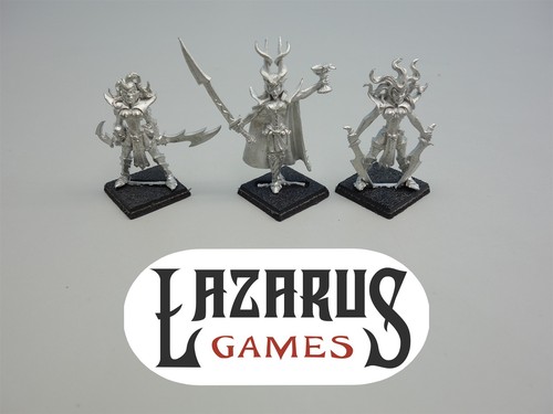 Warhammer elfo oscuro ordine - elfo,