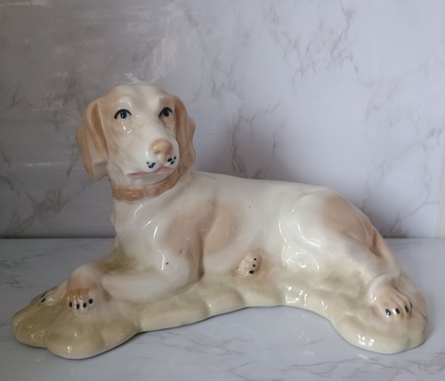 Jargo spain pointer weimaraner - jargo,