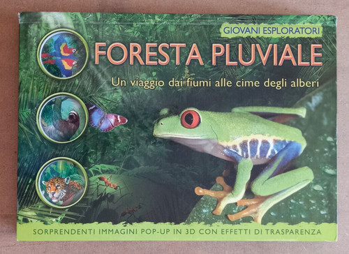 Libro bambini foresta pluviale - foresta,