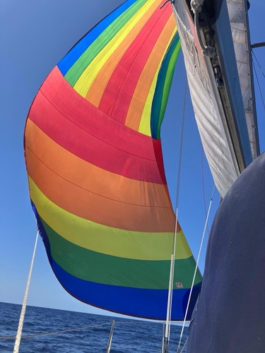 43ft gennaker asymmetric - /,