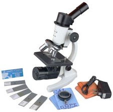 Radical 1000x Studenti Scuola