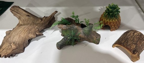 Recinto per rettili driftwood - recinto,