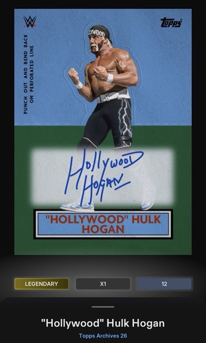 Hollywod hulk hogan - hulk, blue