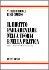 Il diritto parlamentare nella teoria e nella pratica