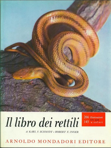 Libro dei rettili animali - libro,