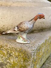 Tacchino IN Miniatura &