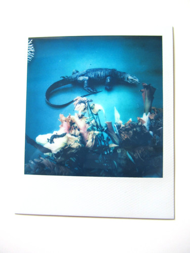 Araki polaroid originale - polaroid,