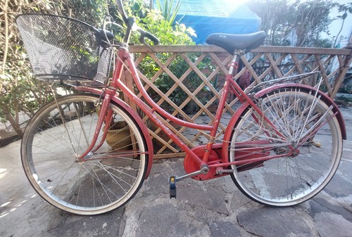 Bicicletta con telaio - , da