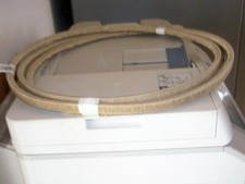 CINGHIA CINTA MOTORE