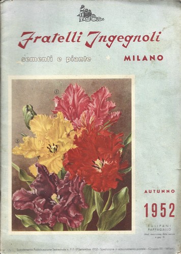 Catalogo ingegnoli 1952 vivai - ingegnoli,