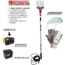 Abbacchiatore Olive