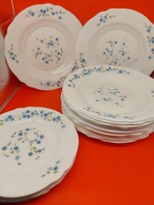 Arcopal France Myosotis 19 Pezzi Veronica 