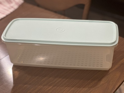 Tupperware vintage sedano - vintage,