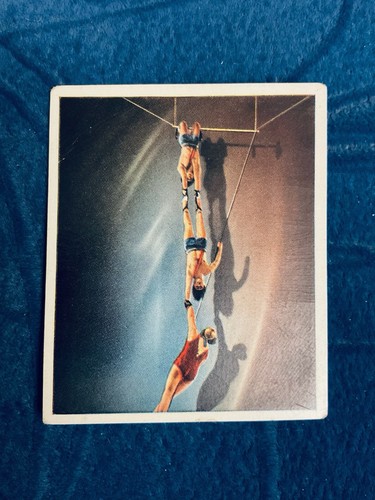 Figurina varietà circo - varietÀ, e