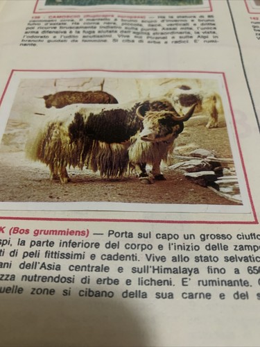 Figurina 140 animali - figurina, ed