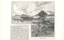 Stampa antica CAPRI veduta