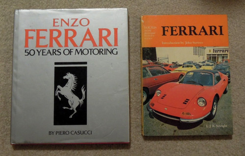 Libro biografia enzo - biografia,