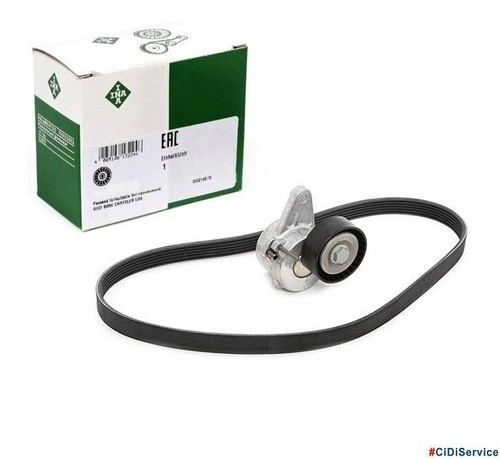 Kit tendicinghia ina cinghia - tendicinghia,