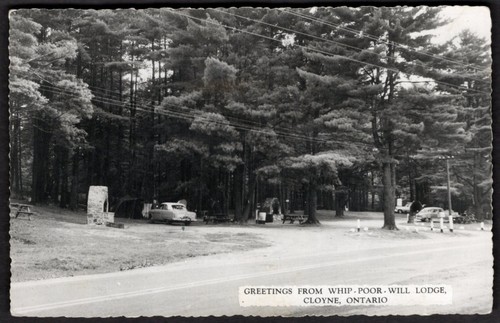Cloyne ontario 1950s whip - ontario,