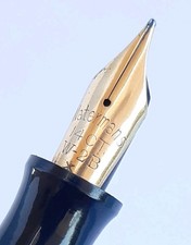 Waterman Penna Stilografica