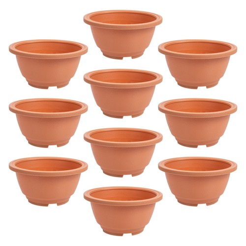 Contenitori per piante grasse