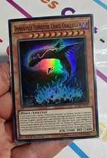 TERRESTRIAL IMMORTAL CHACU