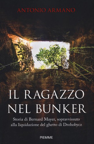 Ragazzo nel bunker storia - il,