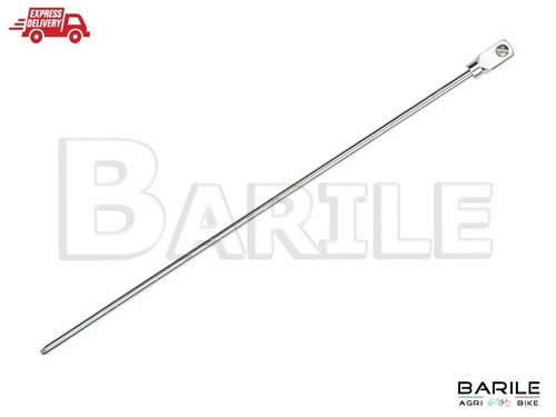 Asta canetta astina - -,