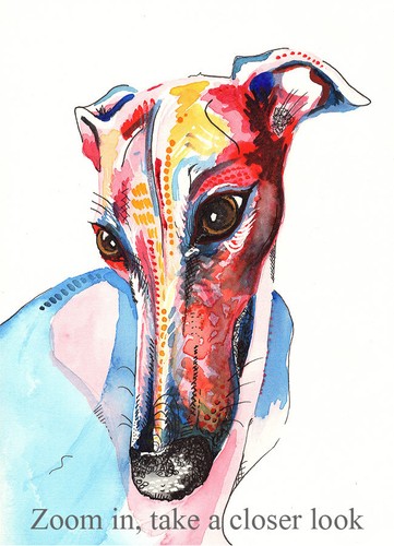 Greyhound whippet lurcher - greyhound,