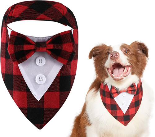 Pezzo papillon cane - pezzo,